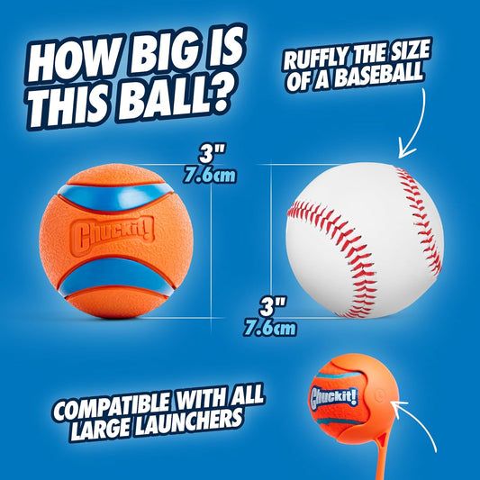 High-bounce dog ball toy for active play