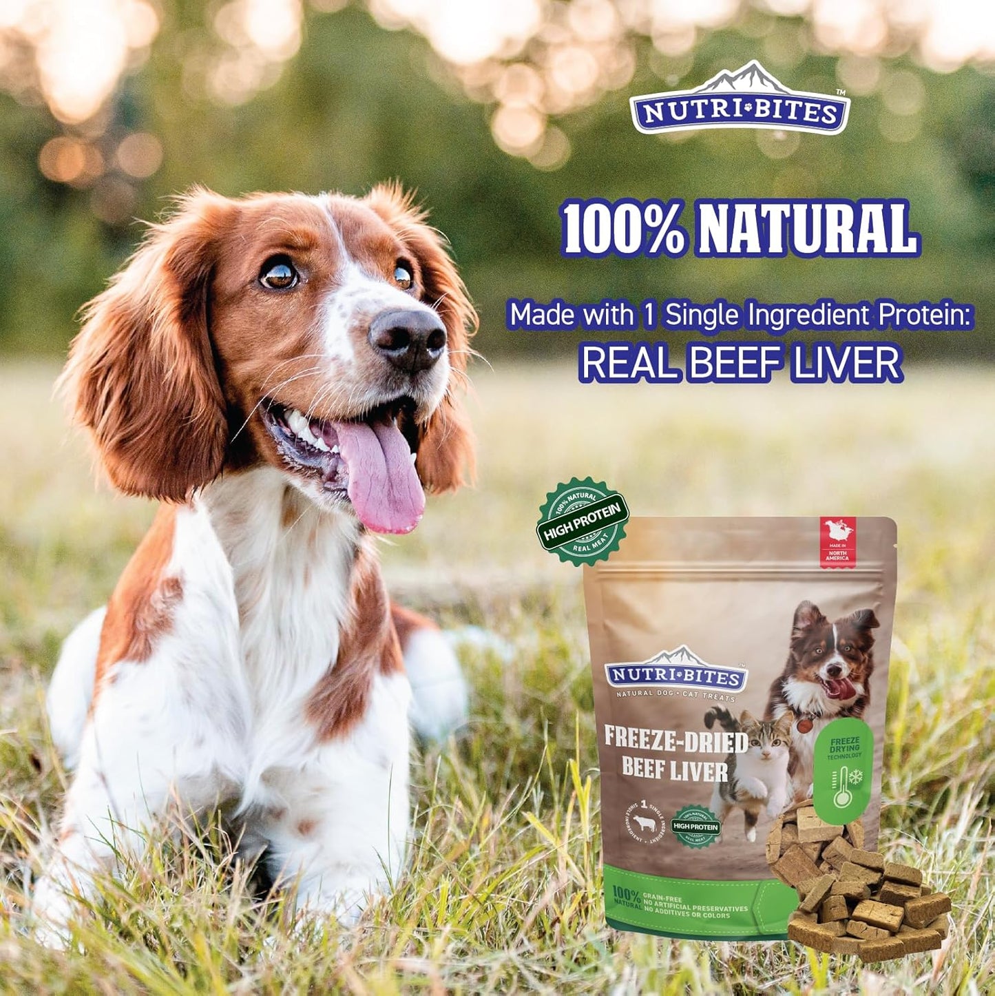 Premium beef liver treats for dogs and cats