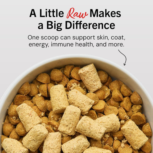 High-protein beef meal mixer for dogs
