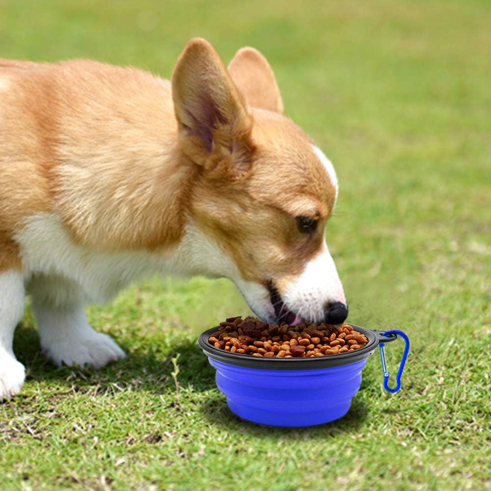 Portable Collapsible Pet Travel Bowls Set