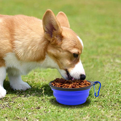 Portable Collapsible Pet Travel Bowls Set
