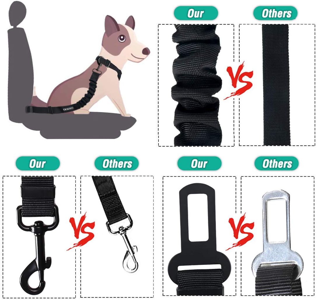 Dog travel restraint for safer car rides