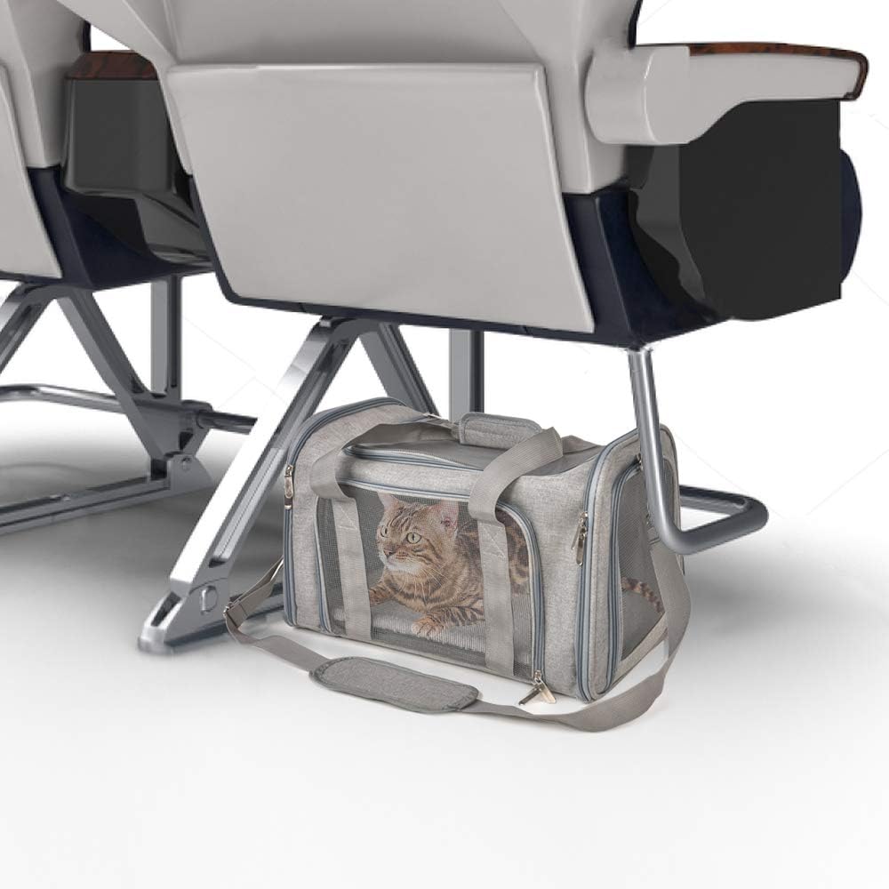 Comfortable pet carrier for small pets on the go
