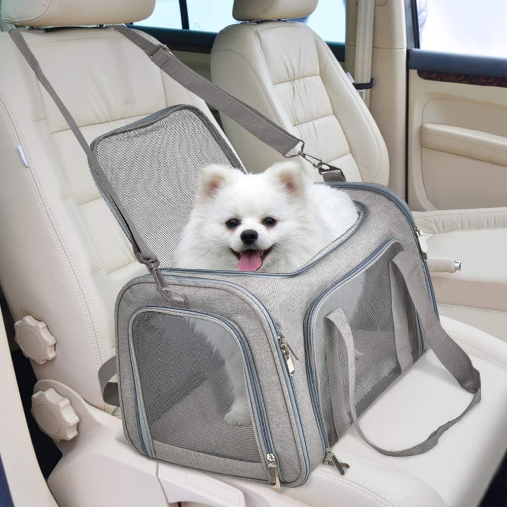 Airline-Approved Pet Travel Carrier