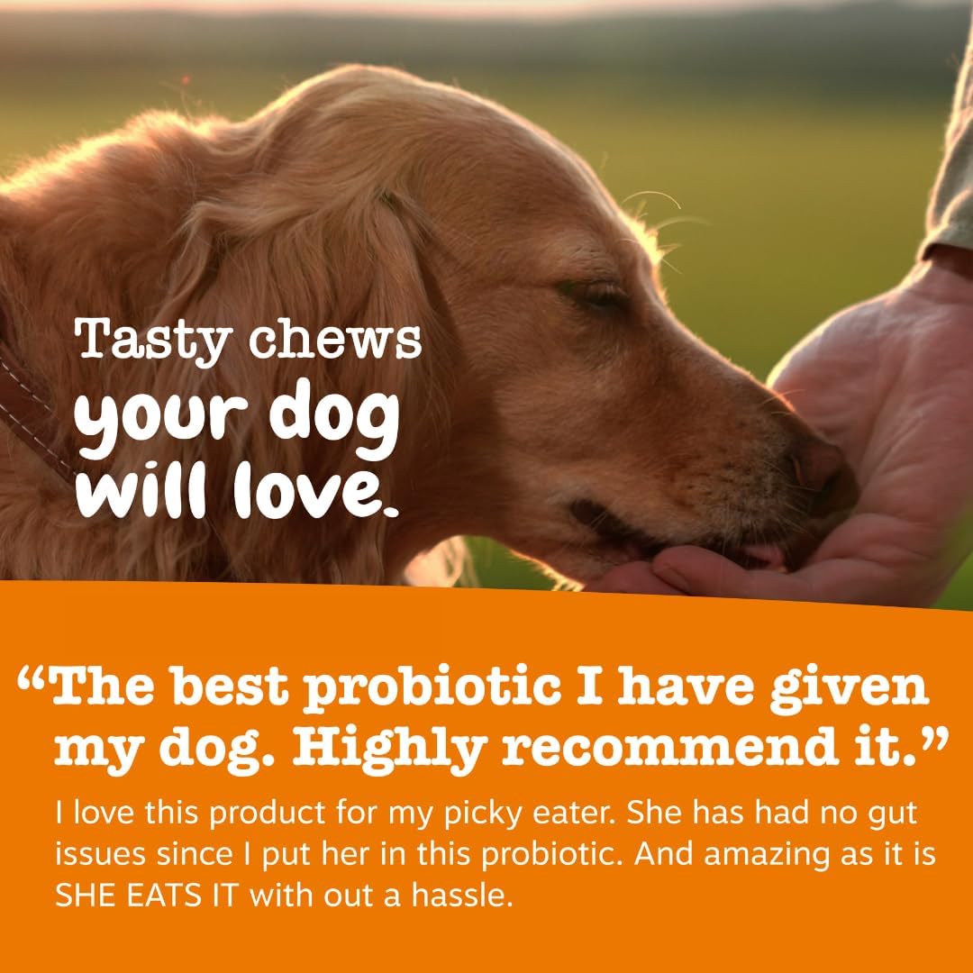 Zesty Paws Probiotics for Dogs Digestive Health Gut Support Soft Chews 90Ct