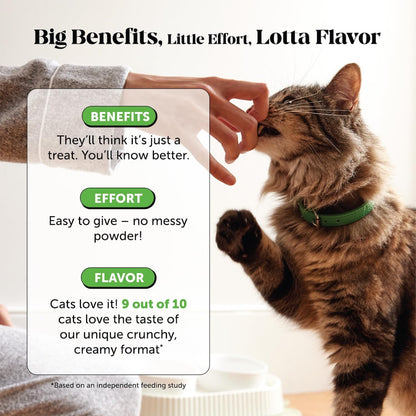 Crunchy and creamy cat hairball remedy chews