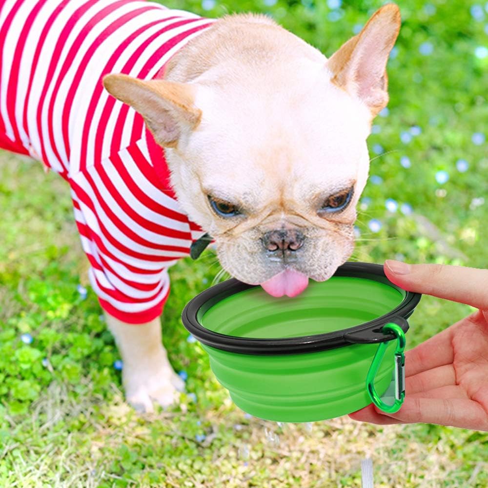Travel-friendly collapsible bowls for dogs and cats