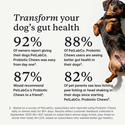 PetLab Co Probiotics for Dogs Gut Health Digestive Support Soft Chews 30Ct