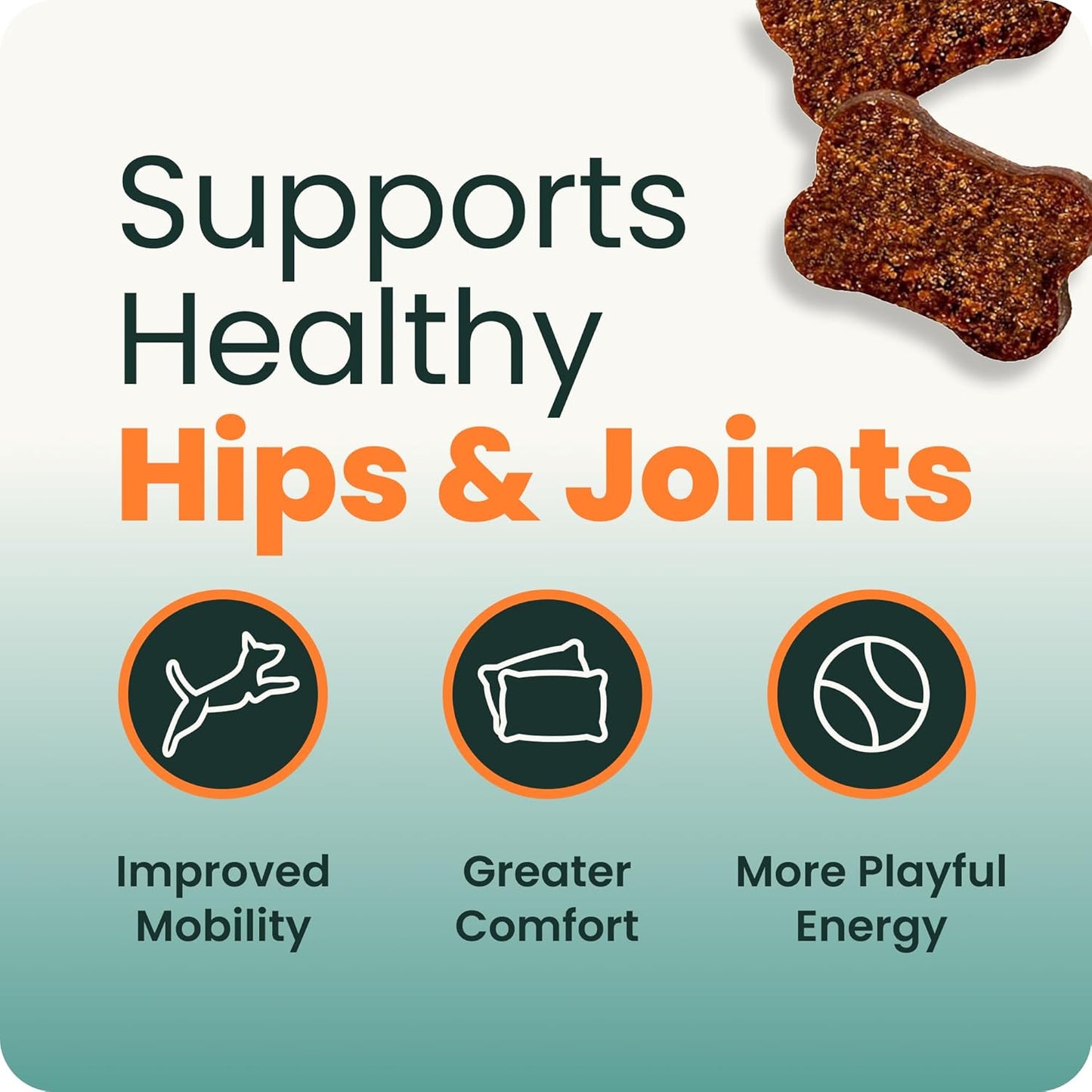 VetriScience Extra Strength Hip & Joint Support Dogs Glucosamine 120 Chews