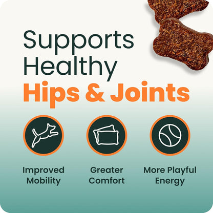 VetriScience Extra Strength Hip & Joint Support Dogs Glucosamine 120 Chews