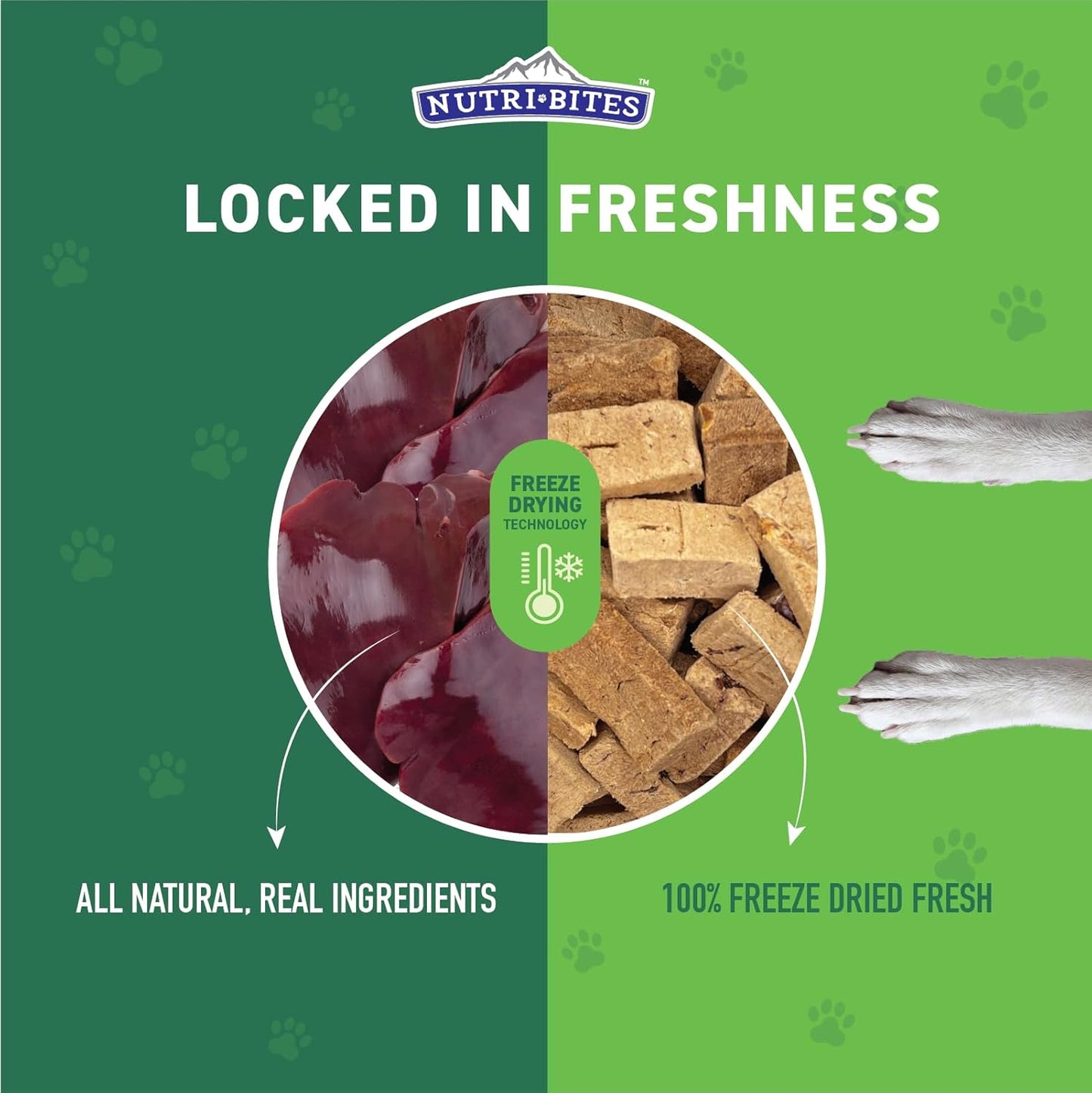Nutri Bites Freeze-Dried Beef Liver Treats for Dogs & Cats