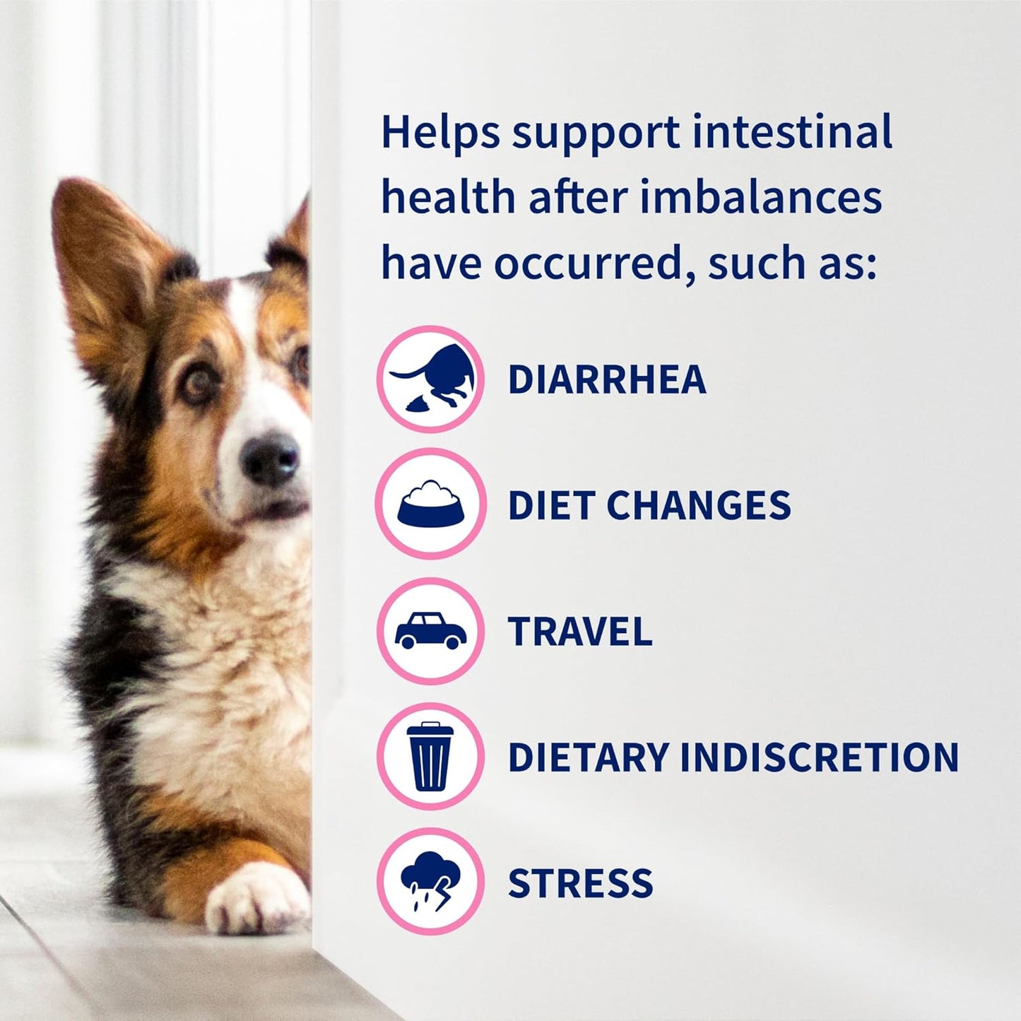 Nutramax Proviable Probiotics for Dogs & Cats – 30 Capsules