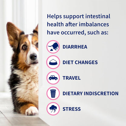 Nutramax Proviable Probiotics for Dogs & Cats – 30 Capsules