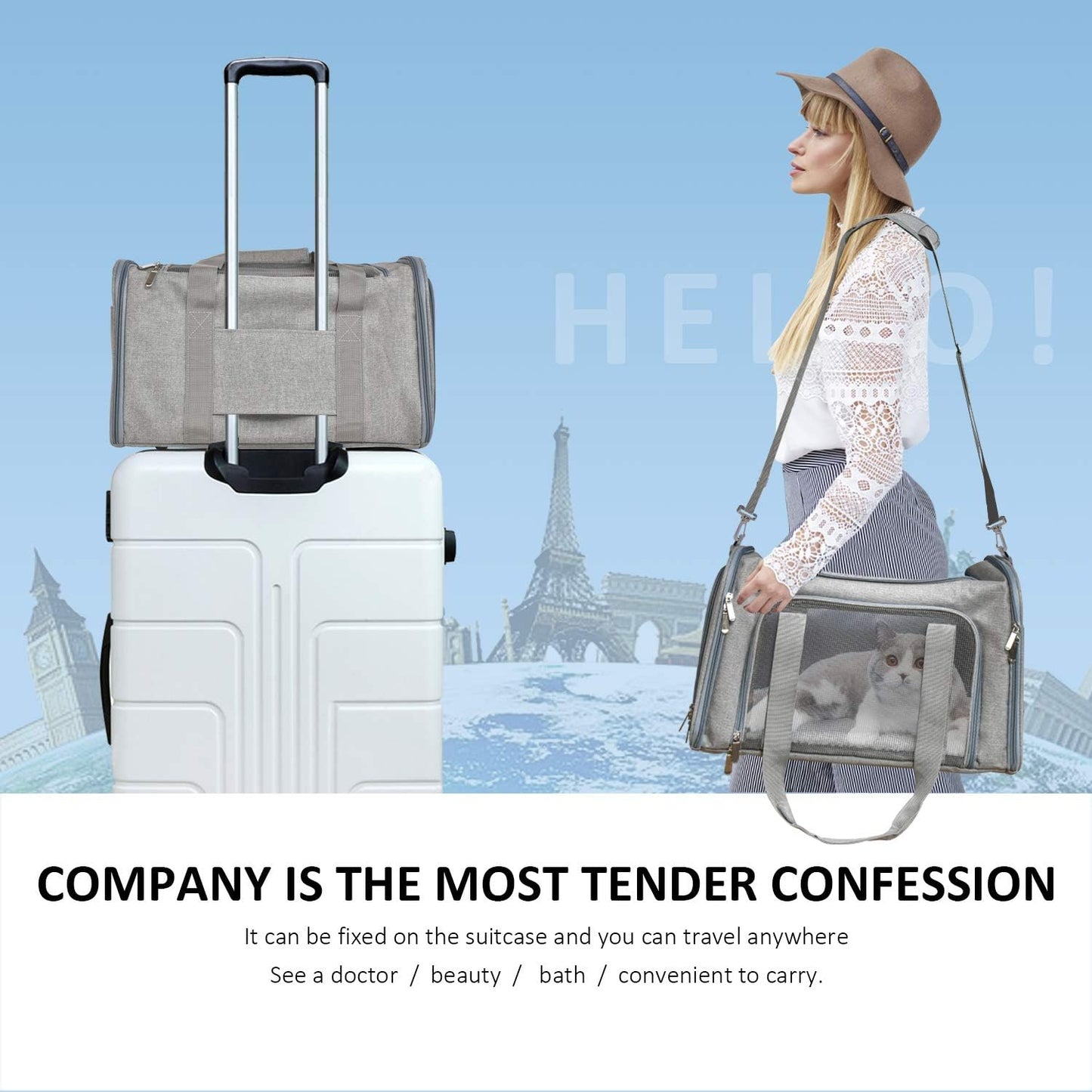 Airline-Approved Pet Travel Carrier