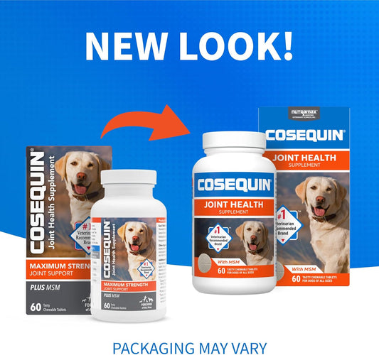 Glucosamine supplement for healthy dog joints