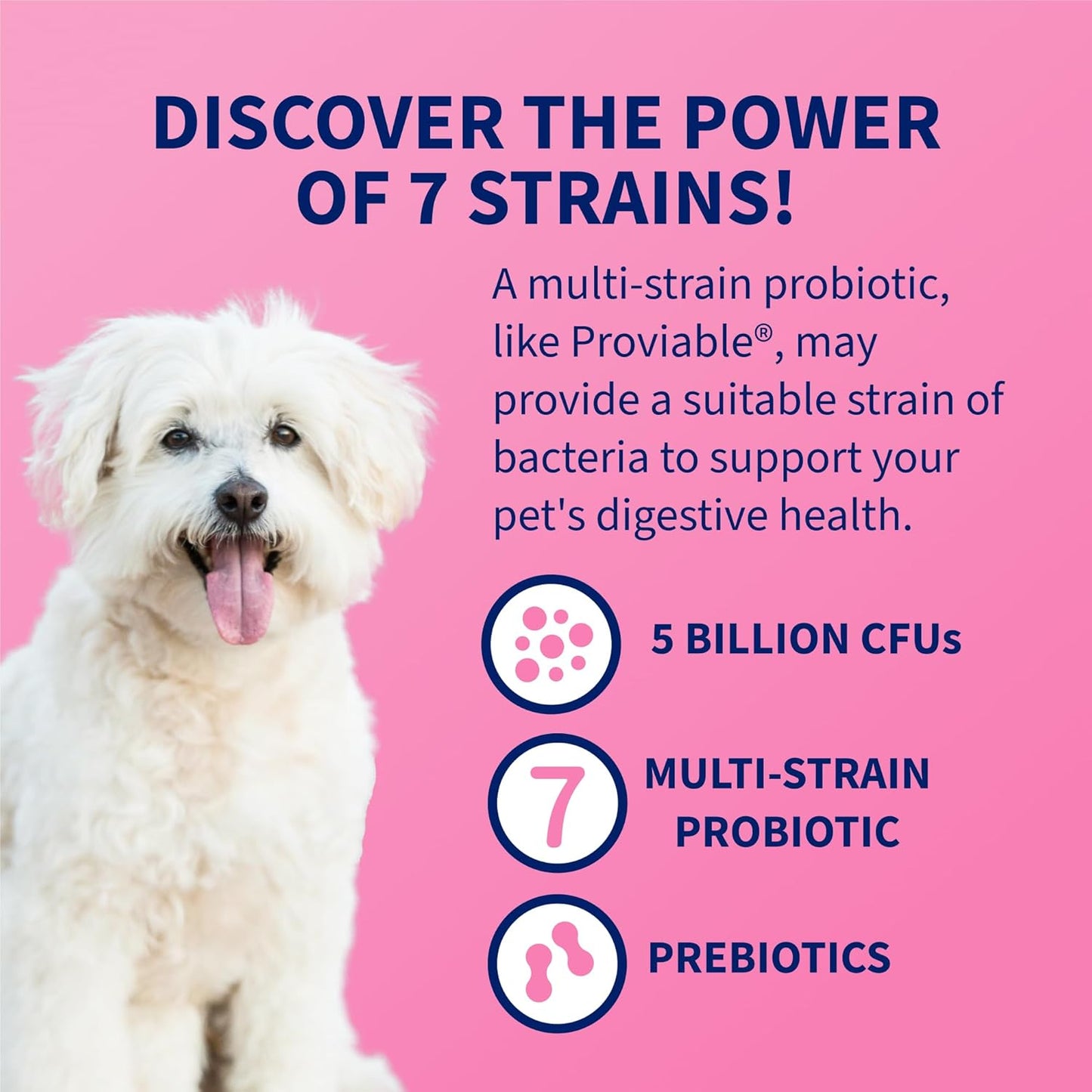 Nutramax Proviable Probiotics for Dogs & Cats – 30 Capsules