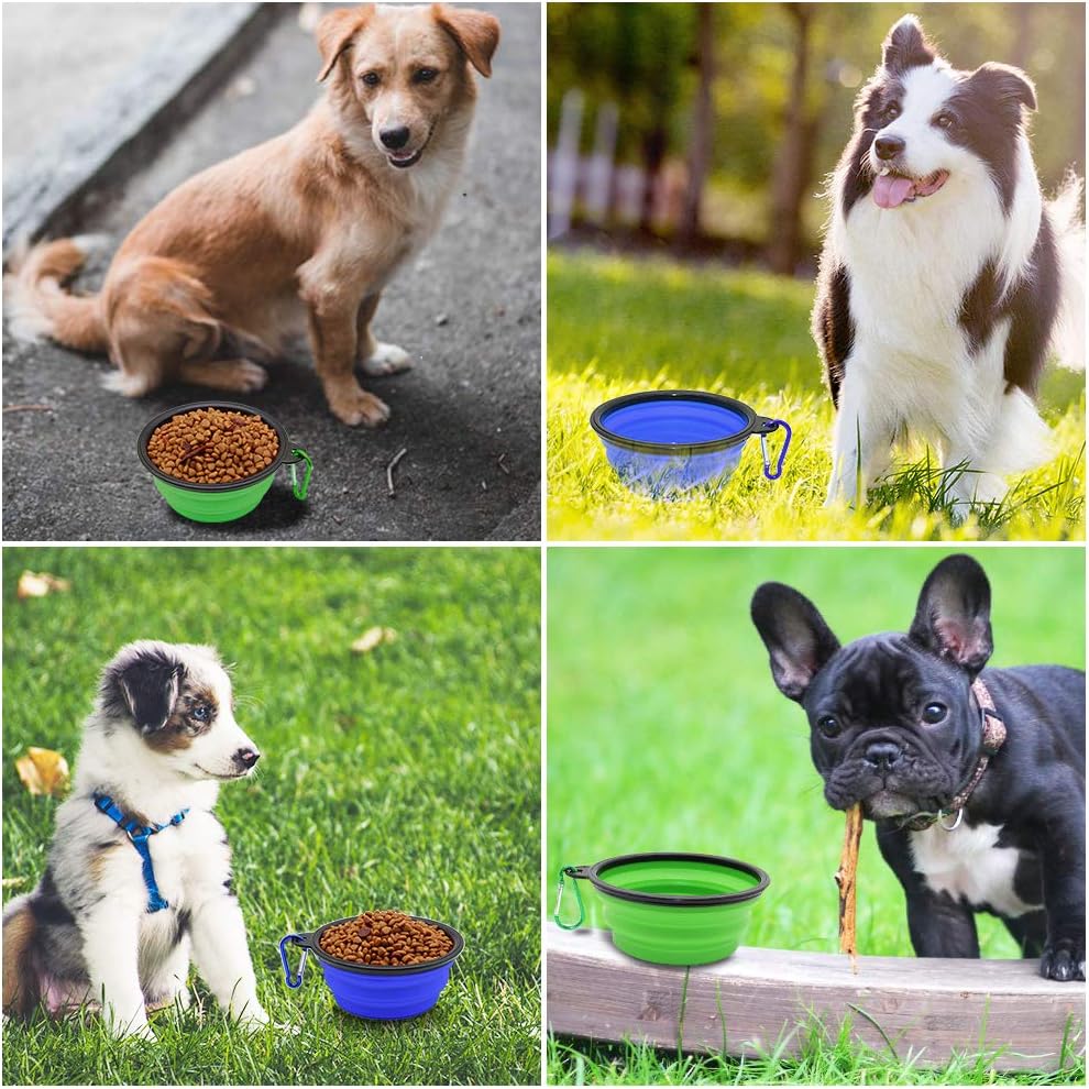Portable Collapsible Pet Travel Bowls Set
