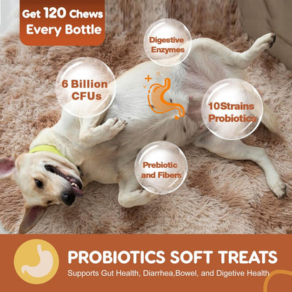 Dog Probiotics Digestive Health Gut Support Pumpkin Fish Oil 120 Chews
