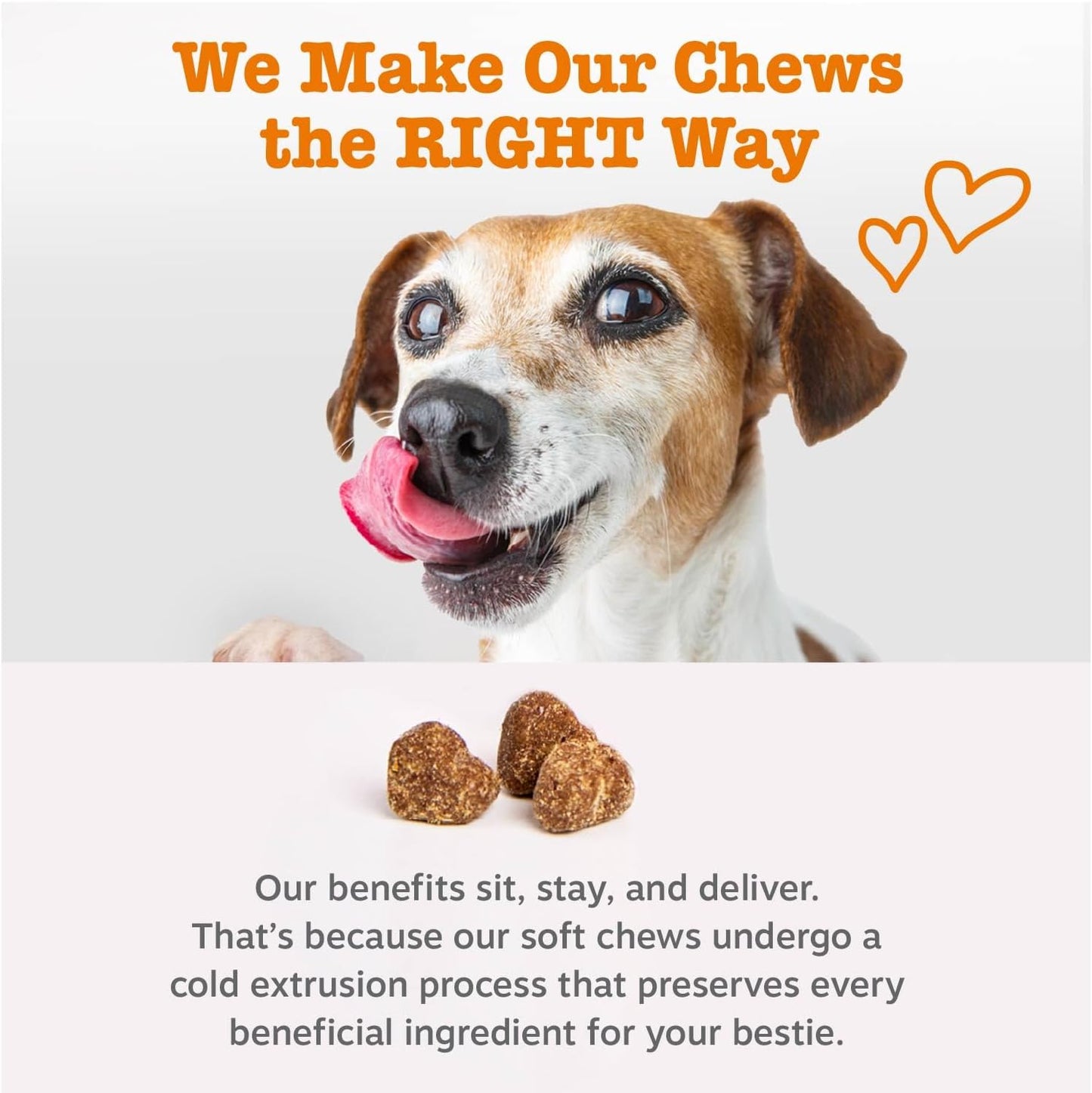 Zesty Paws Probiotics for Dogs Digestive Health Gut Support Soft Chews 90Ct