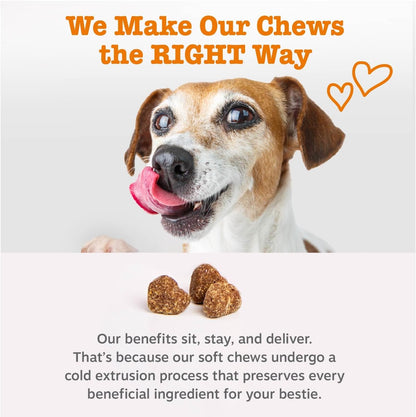 Zesty Paws Probiotics for Dogs Digestive Health Gut Support Soft Chews 90Ct