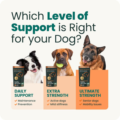 VetriScience Extra Strength Hip & Joint Support Dogs Glucosamine 120 Chews