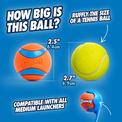 Ultra Bounce Fetch Balls for Dogs – 2 Pack
