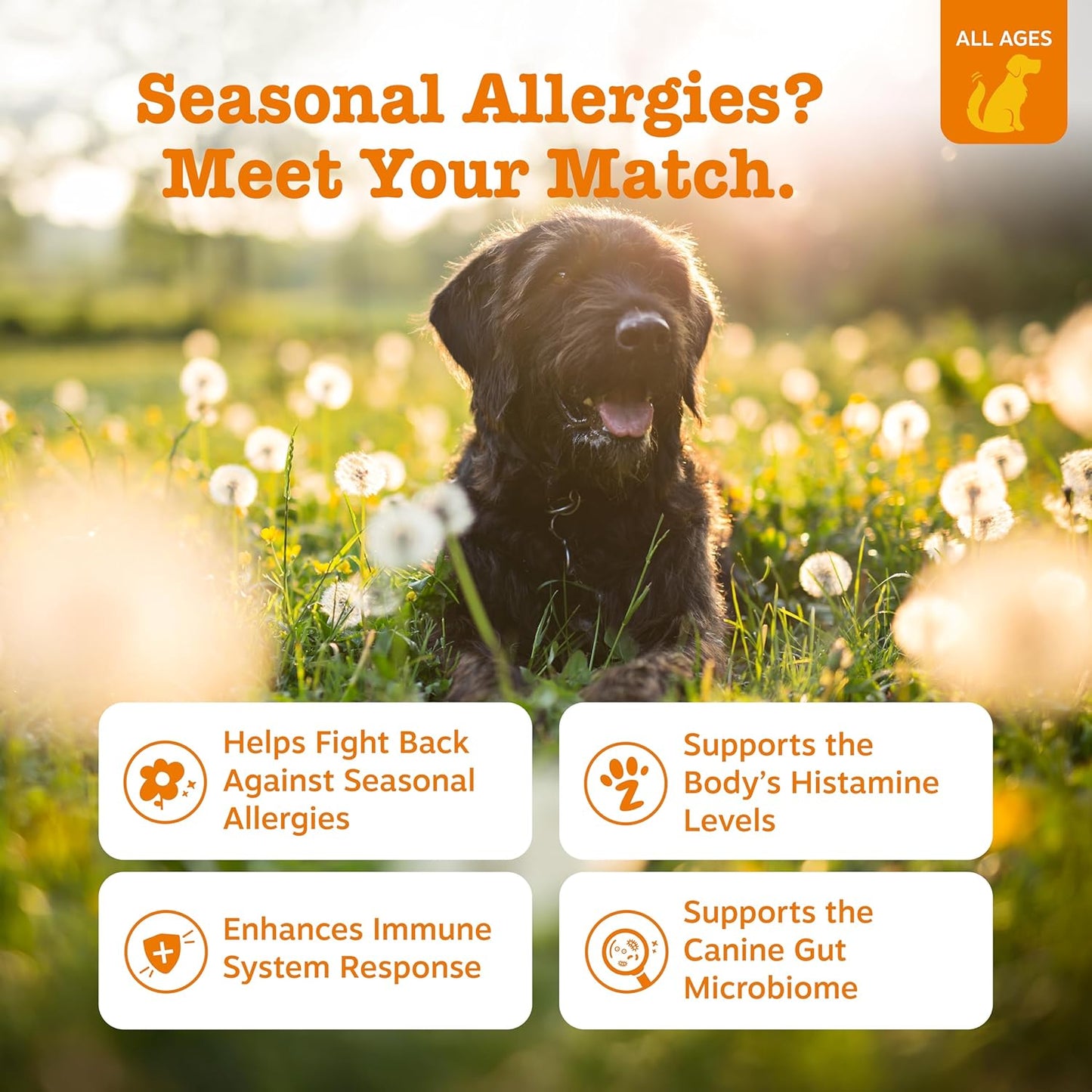 Zesty Paws Allergy Immune Bites for Dogs Itchy Skin Ear Support 90 Chews