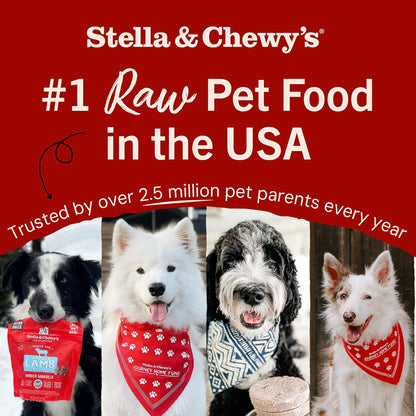 Freeze-Dried Beef Meal Topper for Dogs