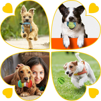 Puppy Play & Chew Toy Bundle – 25 Piece Set