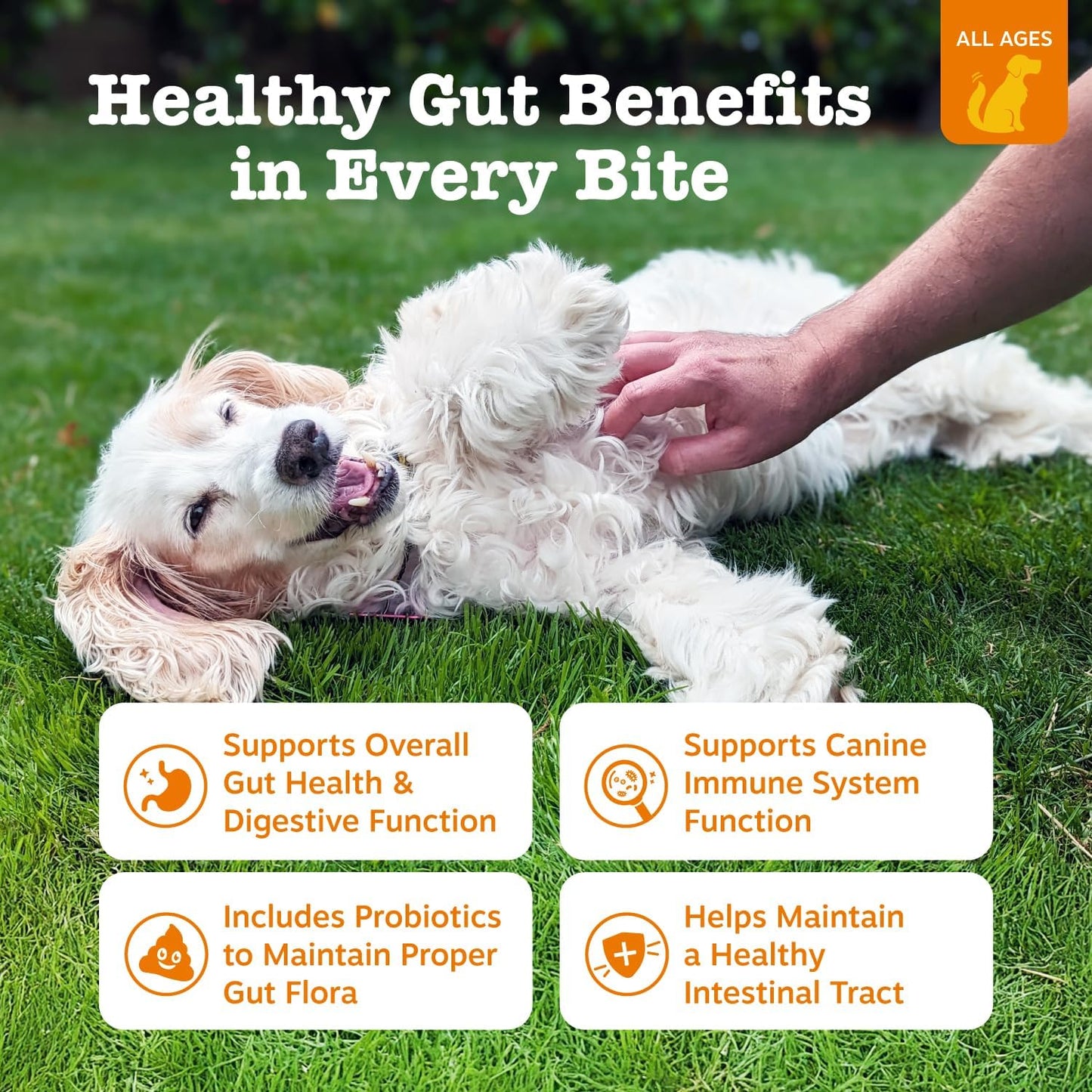 Zesty Paws Probiotics for Dogs Digestive Health Gut Support Soft Chews 90Ct