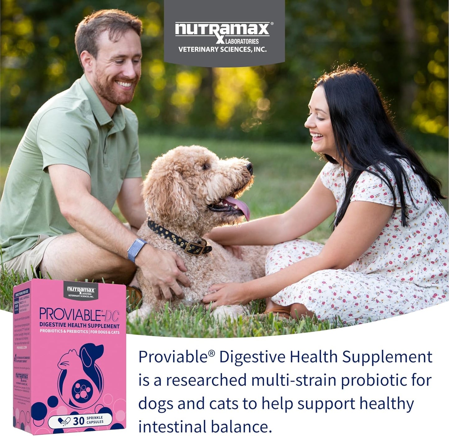 Nutramax Proviable Probiotics for Dogs & Cats – 30 Capsules