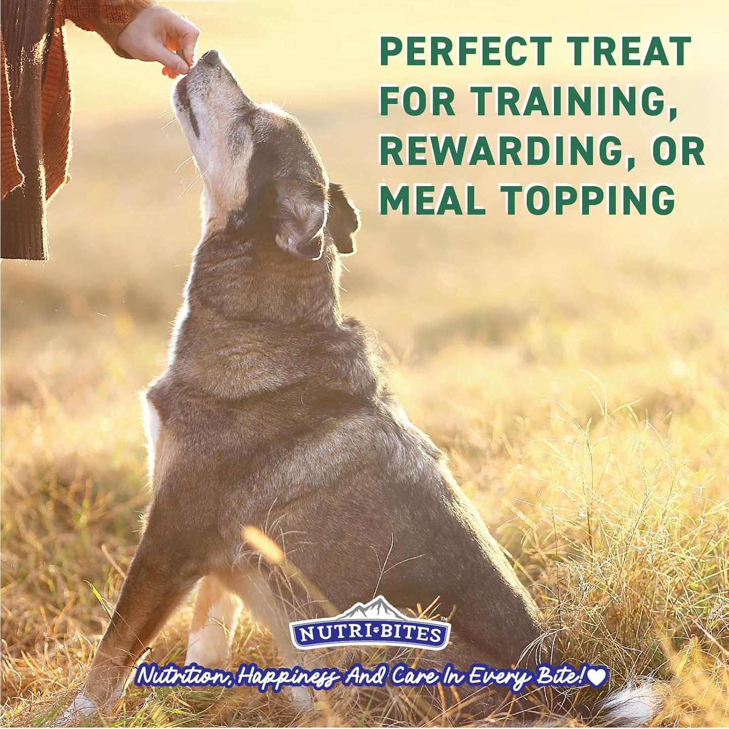 Natural freeze-dried dog and cat training treats