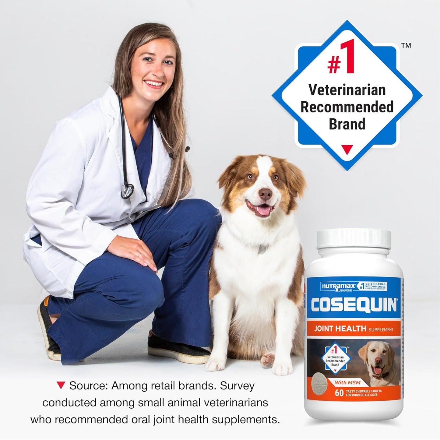 Cosequin Joint Support Chewable Tablets for Dogs