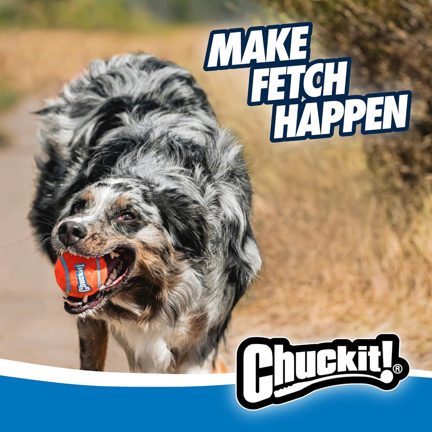 Durable dog ball launcher for daily exercise
