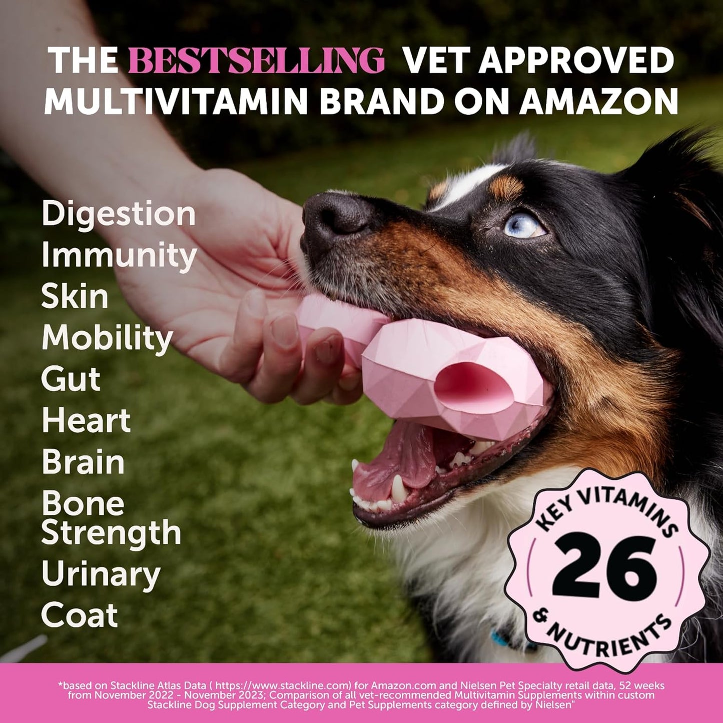 10-in-1 Dog Multivitamin Glucosamine Probiotics Joint Immune 90 Chews