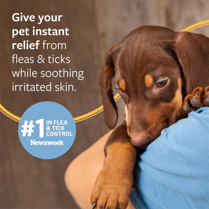 Veterinary Formula Flea & Tick Shampoo 16 oz for Pets