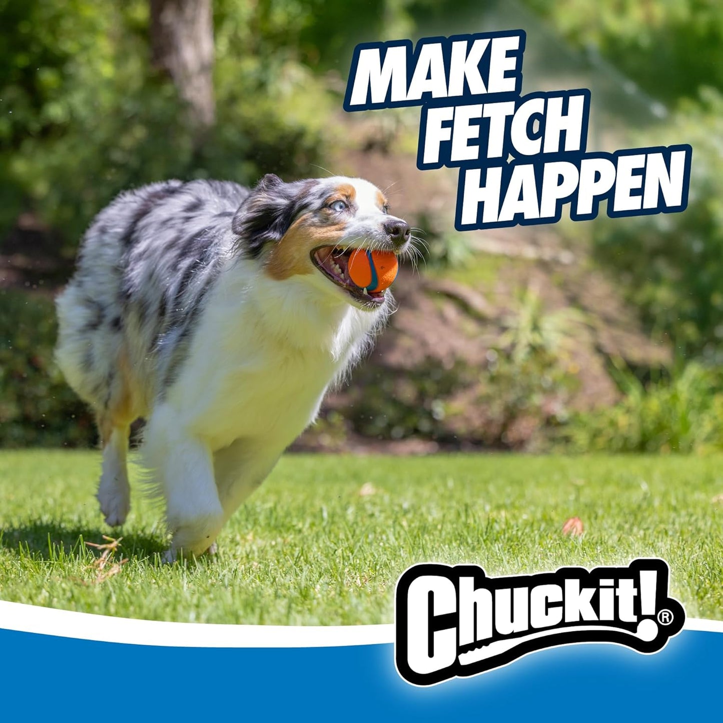 Interactive dog fetch toy set for medium dogs