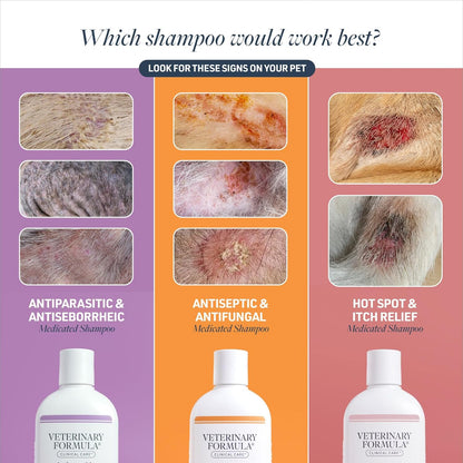 Antiseptic & Antifungal Medicated Shampoo for Dogs & Cats – 16 Oz