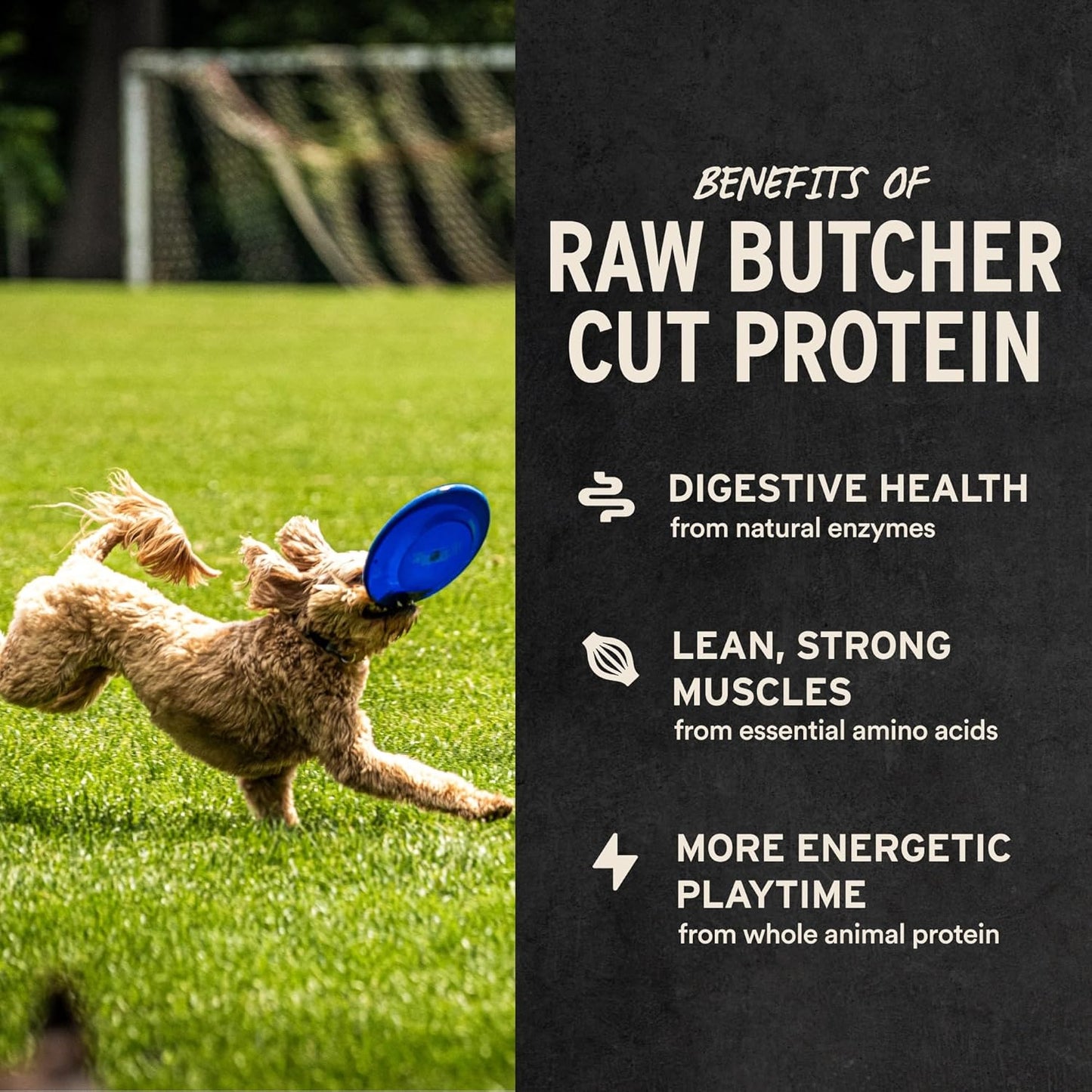 Vital Essentials Beef Liver Freeze-Dried Dog Treats
