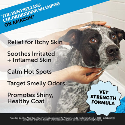 Pet Honesty Itch Relief & Skin Care Shampoo for Dogs & Cats – 16 oz