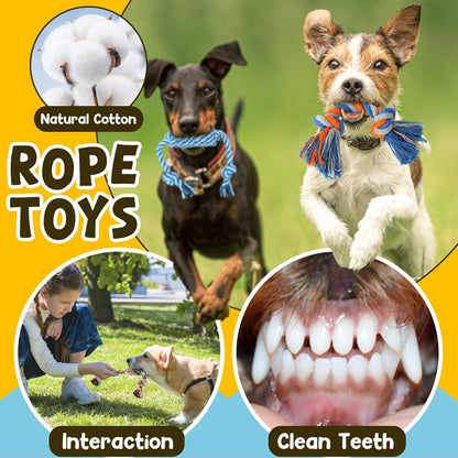 Complete toy set for puppy playtime and training