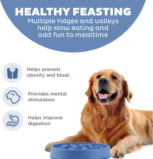 Large dog slow feeding bowl with maze pattern