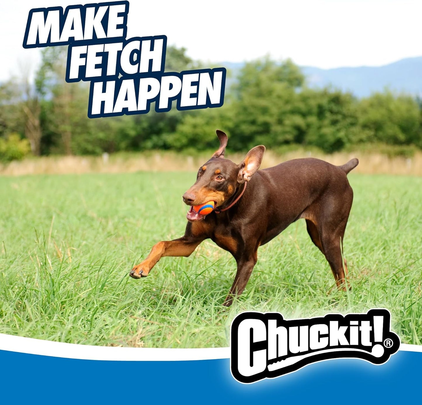 Ultra Bounce Fetch Ball for Large Dogs