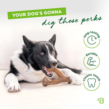 Dog enrichment chew toy with wishbone design