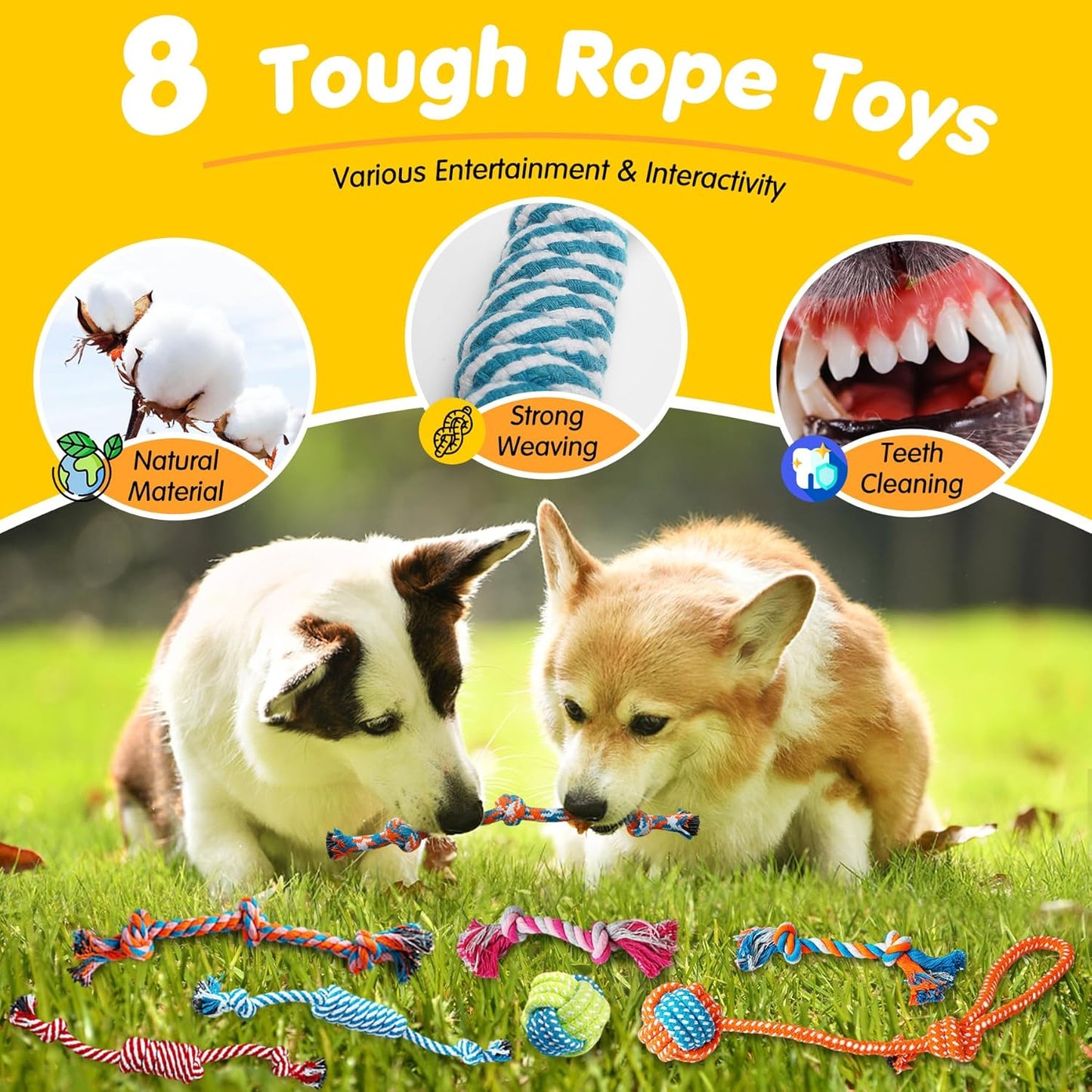 Complete dog toy set for puppies and small breeds