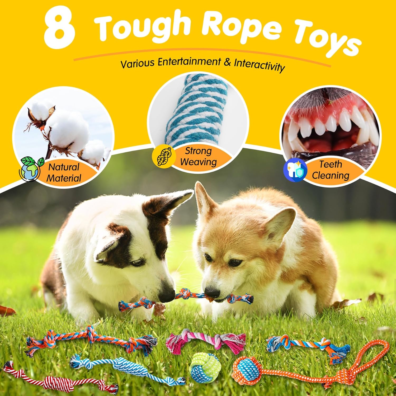 Complete dog toy set for puppies and small breeds