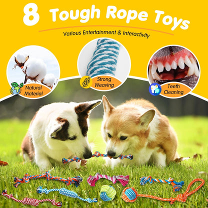 Complete dog toy set for puppies and small breeds
