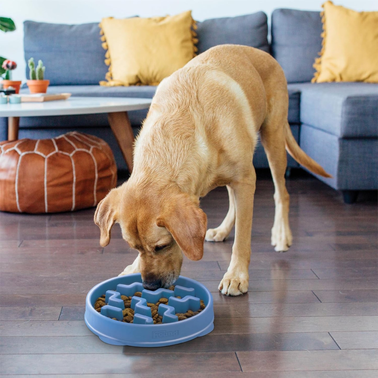 Slow Feeder Bowl for Dogs