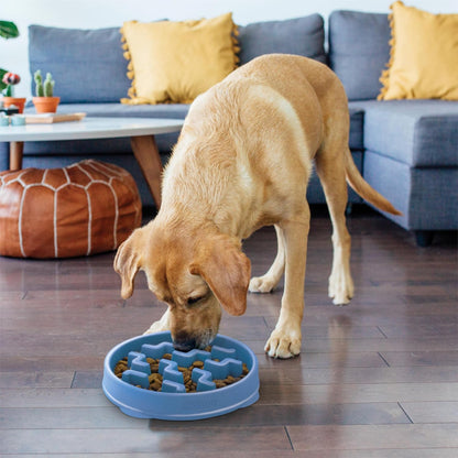 Slow Feeder Bowl for Dogs