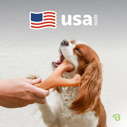 Heavy-duty dog toy for powerful chewers